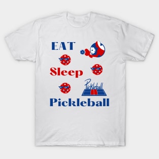 PICKLEBALL, EAT SLEEP PICKLEBALL, FUN TEE T-Shirt